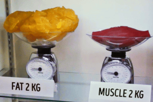 Fat or muscle which one you want pure motivation fitness