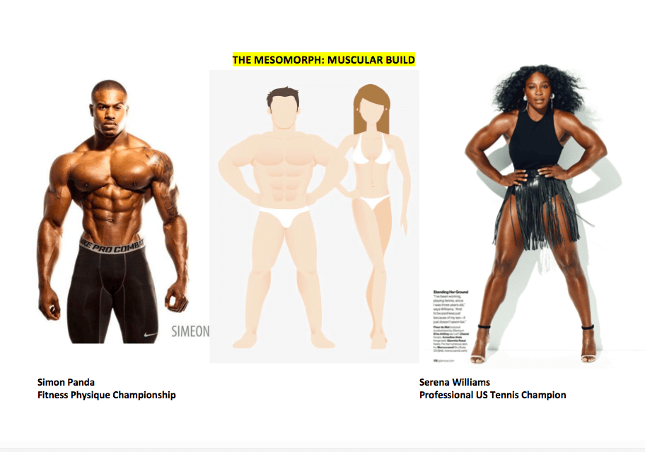 MESOMORPH: Remarkable Ability To Gain & Lose Body Fat 2 601e05b3 1b77 4c63 a5ff 333f18486715